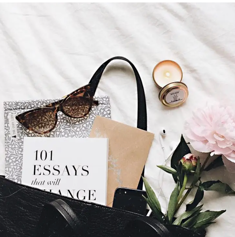 101 Essays Book