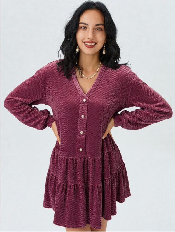 Holiday Velvet Dress