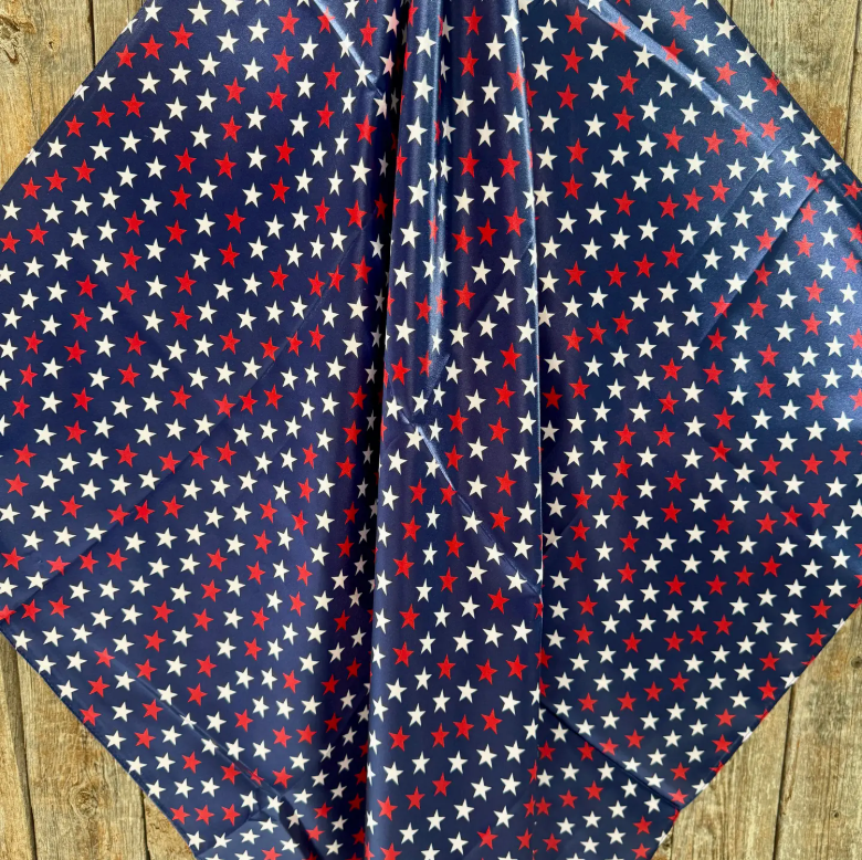 Wild Rag Paisley Scarf