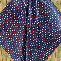 Wild Rag Paisley Scarf