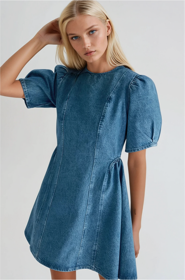 Lenox Open Back Denim Dress